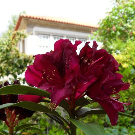 ויאנה דו קסטלו Quinta Do Bento Novo - Casa De Campo - Turismo Rural מראה חיצוני תמונה