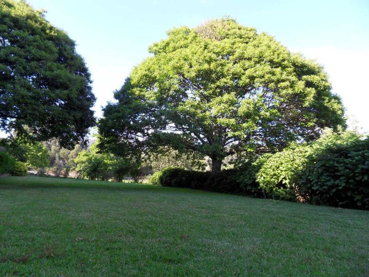 ויאנה דו קסטלו Quinta Do Bento Novo - Casa De Campo - Turismo Rural מראה חיצוני תמונה