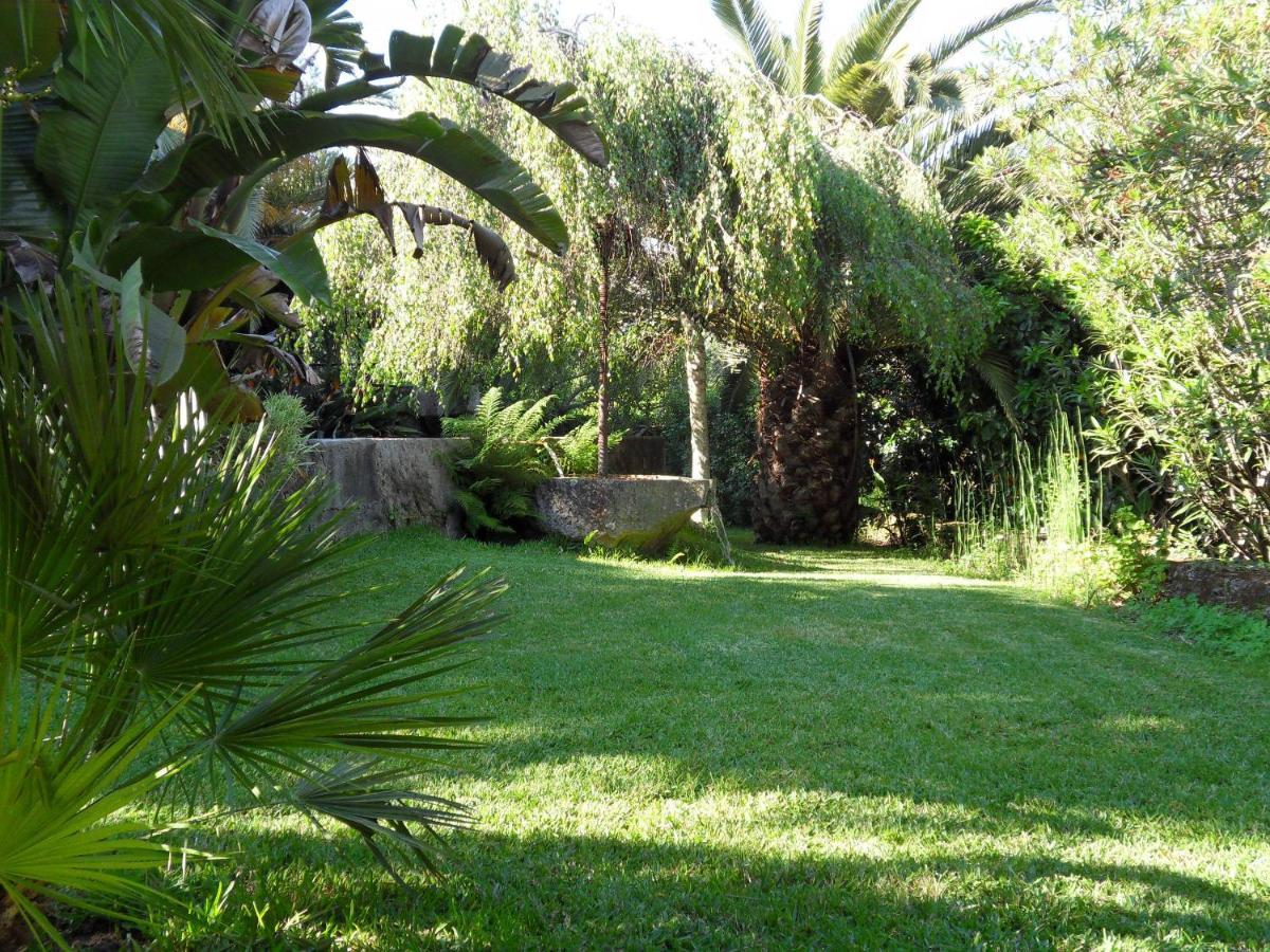 ויאנה דו קסטלו Quinta Do Bento Novo - Casa De Campo - Turismo Rural מראה חיצוני תמונה