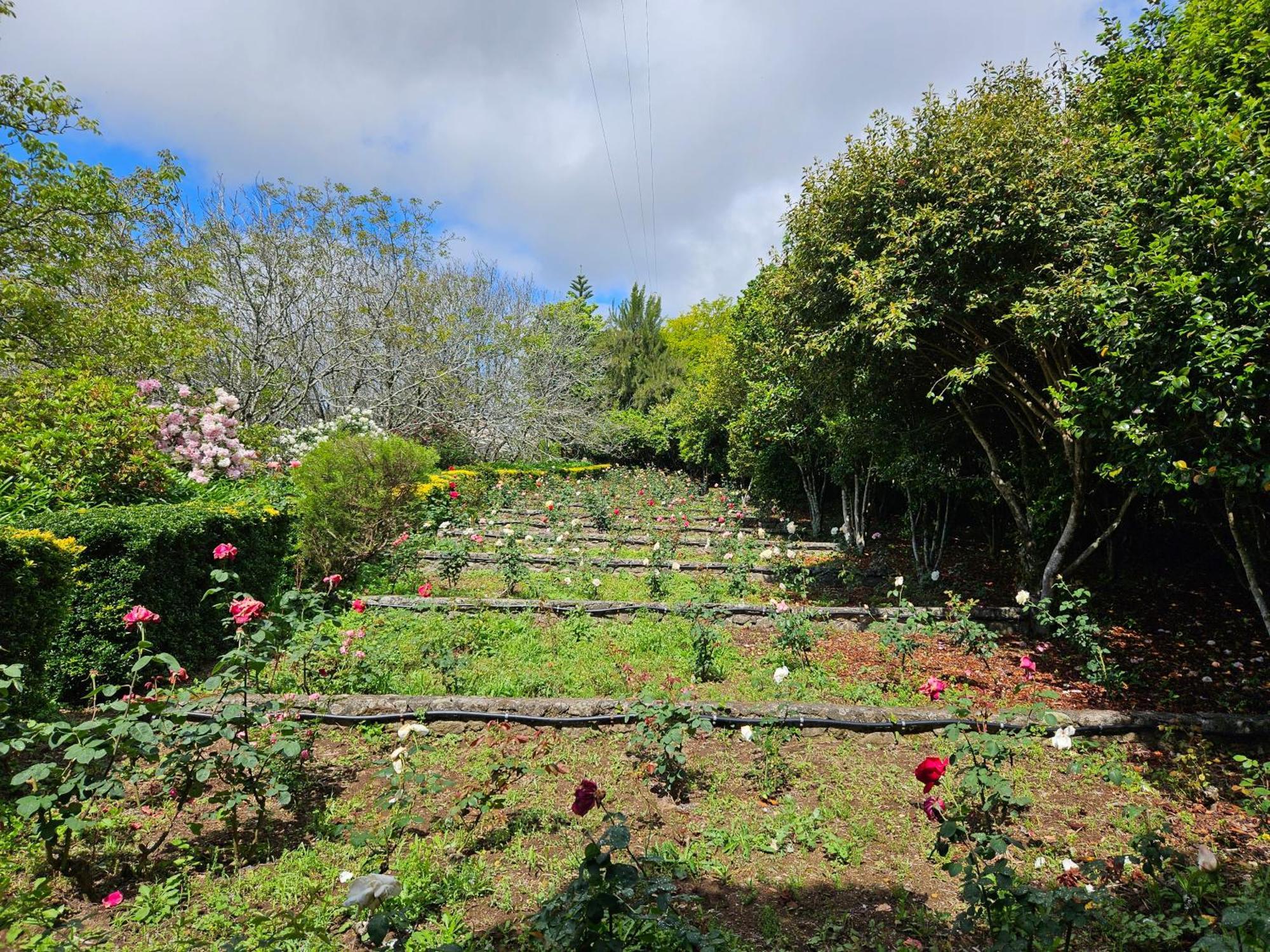 ויאנה דו קסטלו Quinta Do Bento Novo - Casa De Campo - Turismo Rural מראה חיצוני תמונה