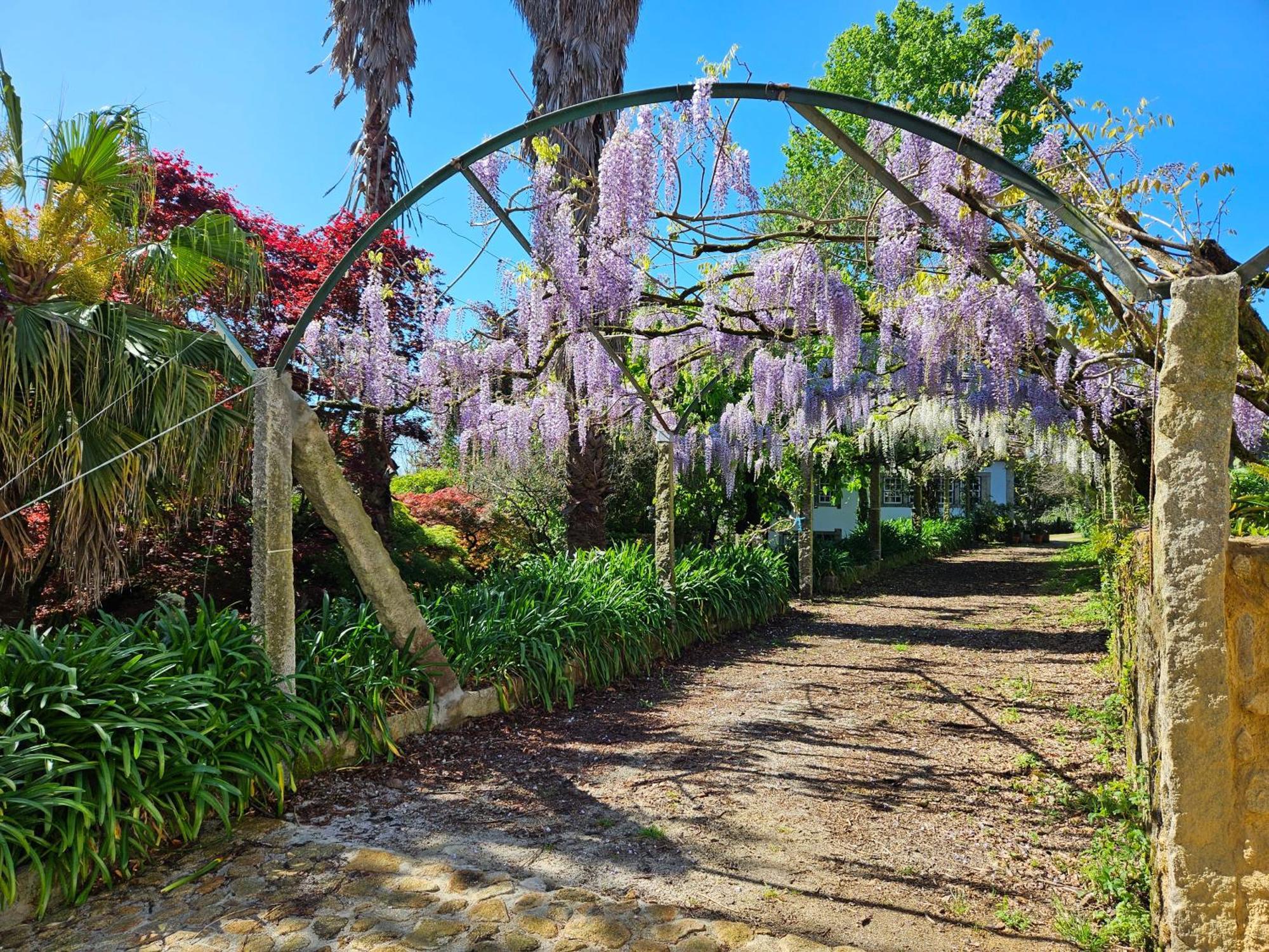 ויאנה דו קסטלו Quinta Do Bento Novo - Casa De Campo - Turismo Rural מראה חיצוני תמונה
